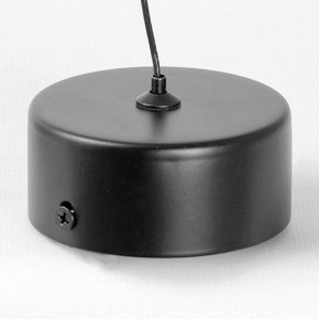 Подвесной светильник Lussole Blount LSP-7356 в Челябинске - cheliabinsk.ok-mebel.com | фото 6