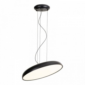 Подвесной светильник Lussole Crook LSP-7360 в Челябинске - cheliabinsk.ok-mebel.com | фото 2