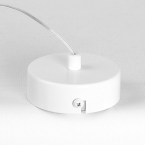 Подвесной светильник Lussole Gregg LSP-8963 в Челябинске - cheliabinsk.ok-mebel.com | фото 8