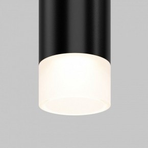 Подвесной светильник Maytoni Skim TR191-1-3W4K-M-B в Челябинске - cheliabinsk.ok-mebel.com | фото 2