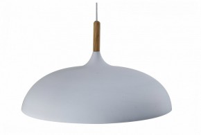 Подвесной светильник Moderli Hygo V11447-1P в Челябинске - cheliabinsk.ok-mebel.com | фото
