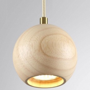 Подвесной светильник Odeon Light Caucho 7061/1 в Челябинске - cheliabinsk.ok-mebel.com | фото 2