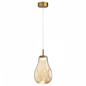 Подвесной светильник Odeon Light Nave 5098/4L в Челябинске - cheliabinsk.ok-mebel.com | фото 2