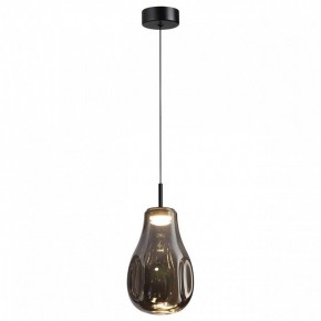 Подвесной светильник Odeon Light Nave 5098/4LC в Челябинске - cheliabinsk.ok-mebel.com | фото 2