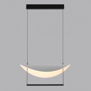 Подвесной светильник Odeon Light Next 7015/20L в Челябинске - cheliabinsk.ok-mebel.com | фото 4