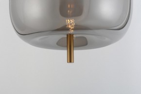 Подвесной светильник Rivoli Claire Б0061905 в Челябинске - cheliabinsk.ok-mebel.com | фото 11