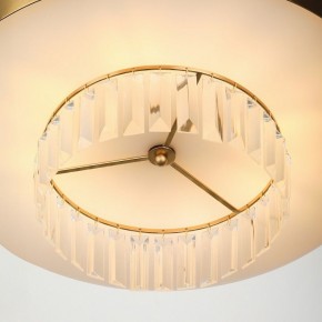 Подвесной светильник Rivoli Vickie Б0061902 в Челябинске - cheliabinsk.ok-mebel.com | фото 11