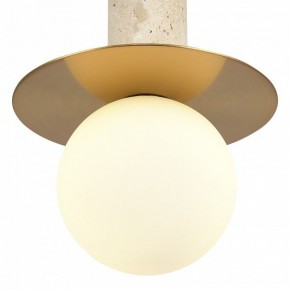 Подвесной светильник ST-Luce Earthy SL1194.303.01 в Челябинске - cheliabinsk.ok-mebel.com | фото 5