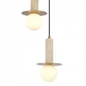 Подвесной светильник ST-Luce Earthy SL1194.303.03 в Челябинске - cheliabinsk.ok-mebel.com | фото 4