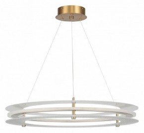Подвесной светильник ST-Luce FAGY SL6245.203.01 в Челябинске - cheliabinsk.ok-mebel.com | фото 3