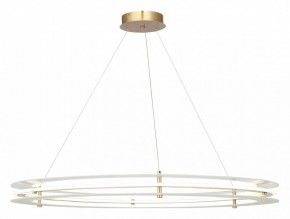 Подвесной светильник ST-Luce FAGY SL6245.213.01 в Челябинске - cheliabinsk.ok-mebel.com | фото 2