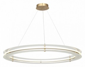 Подвесной светильник ST-Luce FAGY SL6245.213.01 в Челябинске - cheliabinsk.ok-mebel.com | фото 4