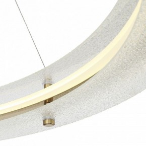 Подвесной светильник ST-Luce FAGY SL6245.213.01 в Челябинске - cheliabinsk.ok-mebel.com | фото 6