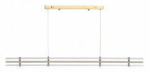 Подвесной светильник ST-Luce FAGY SL6245.223.01 в Челябинске - cheliabinsk.ok-mebel.com | фото 3