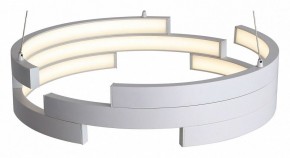 Подвесной светильник ST-Luce Genuine SL963.503.01 в Челябинске - cheliabinsk.ok-mebel.com | фото