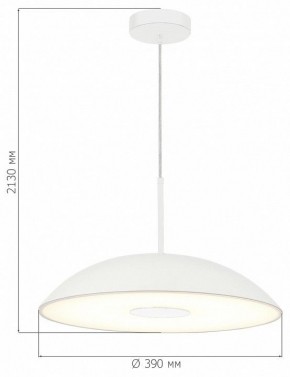 Подвесной светильник ST-Luce Lido SL6128.503.01 в Челябинске - cheliabinsk.ok-mebel.com | фото 4