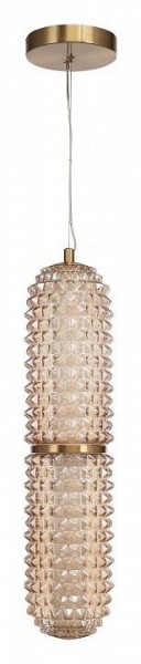 Подвесной светильник ST-Luce SAGUARO SL6144.303.01 в Челябинске - cheliabinsk.ok-mebel.com | фото 3
