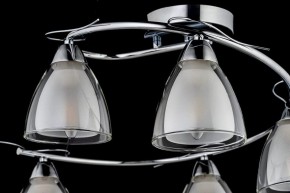 Потолочная люстра Arti Lampadari Paola, Tavenna Nickel Paola E 1.1.5 N в Челябинске - cheliabinsk.ok-mebel.com | фото 4