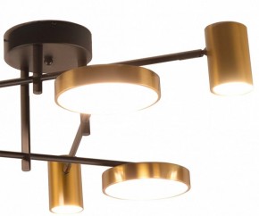Потолочная люстра Kink Light Рапис 07645-6D,19(20) в Челябинске - cheliabinsk.ok-mebel.com | фото 2