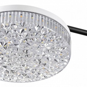 Потолочная люстра Lumion Didana 8236/4CL в Челябинске - cheliabinsk.ok-mebel.com | фото 10