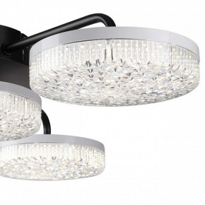 Потолочная люстра Lumion Didana 8236/4CL в Челябинске - cheliabinsk.ok-mebel.com | фото 7