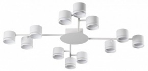 Потолочная люстра Lumion Gareta 8235/12C в Челябинске - cheliabinsk.ok-mebel.com | фото