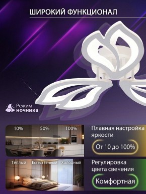 Потолочная люстра Natali Kovaltseva FORTUNA LED LAMPS 81107/2C в Челябинске - cheliabinsk.ok-mebel.com | фото 5