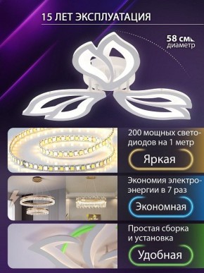 Потолочная люстра Natali Kovaltseva FORTUNA LED LAMPS 81107/2C в Челябинске - cheliabinsk.ok-mebel.com | фото 6