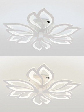 Потолочная люстра Natali Kovaltseva FORTUNA LED LAMPS 81107/6C в Челябинске - cheliabinsk.ok-mebel.com | фото 4