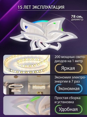 Потолочная люстра Natali Kovaltseva OLIMP LED LAMPS 81435 в Челябинске - cheliabinsk.ok-mebel.com | фото 5