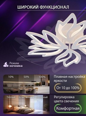 Потолочная люстра Natali Kovaltseva RIF LED LAMPS 81118/5C в Челябинске - cheliabinsk.ok-mebel.com | фото 6