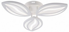 Потолочная люстра Natali Kovaltseva SM LED LAMPS 81456 в Челябинске - cheliabinsk.ok-mebel.com | фото