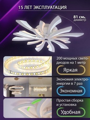 Потолочная люстра Natali Kovaltseva VIO LED LAMPS 81454 в Челябинске - cheliabinsk.ok-mebel.com | фото 5