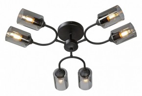 Потолочная люстра Vitaluce V2823 V2823-1/6PL в Челябинске - cheliabinsk.ok-mebel.com | фото 2