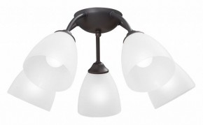 Потолочная люстра Vitaluce V3184 V3737-2/5PL в Челябинске - cheliabinsk.ok-mebel.com | фото