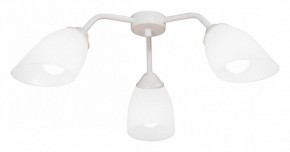 Потолочная люстра Vitaluce V31950 V31950/3PL в Челябинске - cheliabinsk.ok-mebel.com | фото