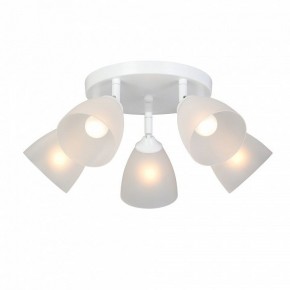 Потолочная люстра Vitaluce V4355 V4355-0/5PL в Челябинске - cheliabinsk.ok-mebel.com | фото 2