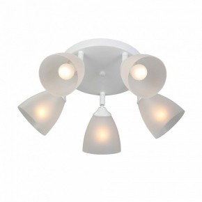 Потолочная люстра Vitaluce V4355 V4355-0/5PL в Челябинске - cheliabinsk.ok-mebel.com | фото 3