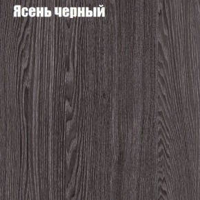 Прихожая ДИАНА-4 сек №10 (Ясень анкор/Дуб эльза) в Челябинске - cheliabinsk.ok-mebel.com | фото 3