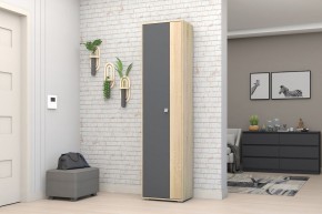 Прихожая Монако-2 (Дуб Сонома/Графит) в Челябинске - cheliabinsk.ok-mebel.com | фото 11
