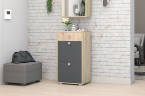 Прихожая Монако-2 (Дуб Сонома/Графит) в Челябинске - cheliabinsk.ok-mebel.com | фото 8