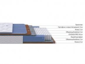 PROxSON Матрас Active Duo M/F (Ткань Трикотаж Эко) 160x195 в Челябинске - cheliabinsk.ok-mebel.com | фото 2