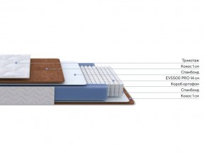 PROxSON Матрас Active F Roll (Ткань Трикотаж Эко) 90x200 в Челябинске - cheliabinsk.ok-mebel.com | фото 2