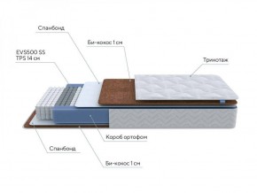 PROxSON Матрас Active F Roll (Ткань Трикотаж Эко) 160x200 в Челябинске - cheliabinsk.ok-mebel.com | фото 6