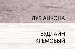 Шкаф 1DG, OLIVIA, цвет вудлайн крем/дуб анкона в Челябинске - cheliabinsk.ok-mebel.com | фото 3