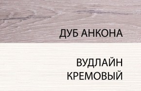 Шкаф 1DZ, OLIVIA, цвет вудлайн крем/дуб анкона в Челябинске - cheliabinsk.ok-mebel.com | фото 3