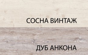 Шкаф 2D1SL, MONAKO, цвет Сосна винтаж/дуб анкона в Челябинске - cheliabinsk.ok-mebel.com | фото
