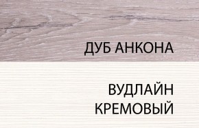 Шкаф 2DG, OLIVIA, цвет вудлайн крем/дуб анкона в Челябинске - cheliabinsk.ok-mebel.com | фото 3