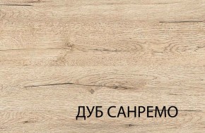 Шкаф 2DG OSKAR , цвет дуб Санремо в Челябинске - cheliabinsk.ok-mebel.com | фото 3