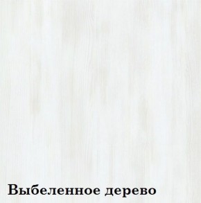 Шкаф 6-ти секционный Люкс 6 Плюс ЛДСП Стандарт (фасад стекло Капучино) в Челябинске - cheliabinsk.ok-mebel.com | фото 14